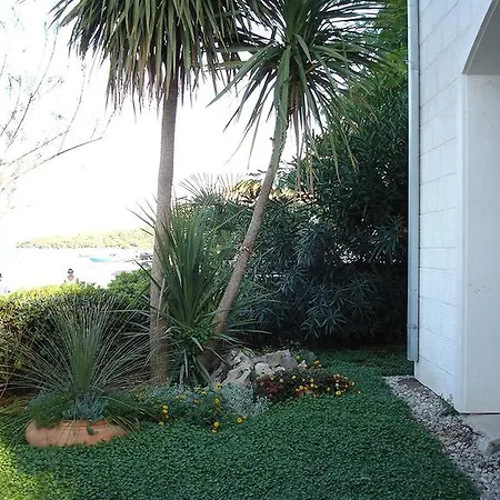 Olea Apartment