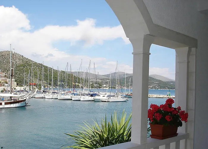 Olea * Marina