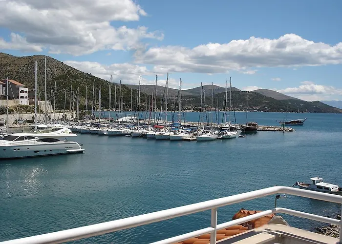 Olea * Marina