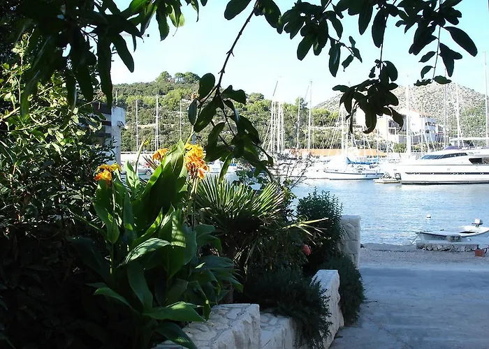 Olea Marina